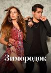ЗимородокᖦТурецкийᖦСериалᖦ2023 на Русском языке Все серии подряд